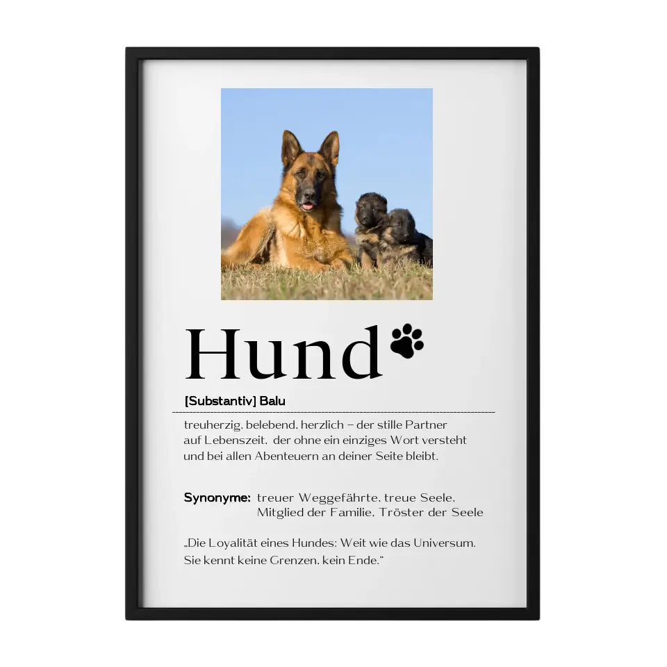 Hund Definition mit Bild - Personalisierbares Poster